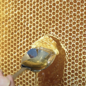 馬渡養蜂所 久留米店-長年の養蜂技術に培われた搾りたて蜂蜜