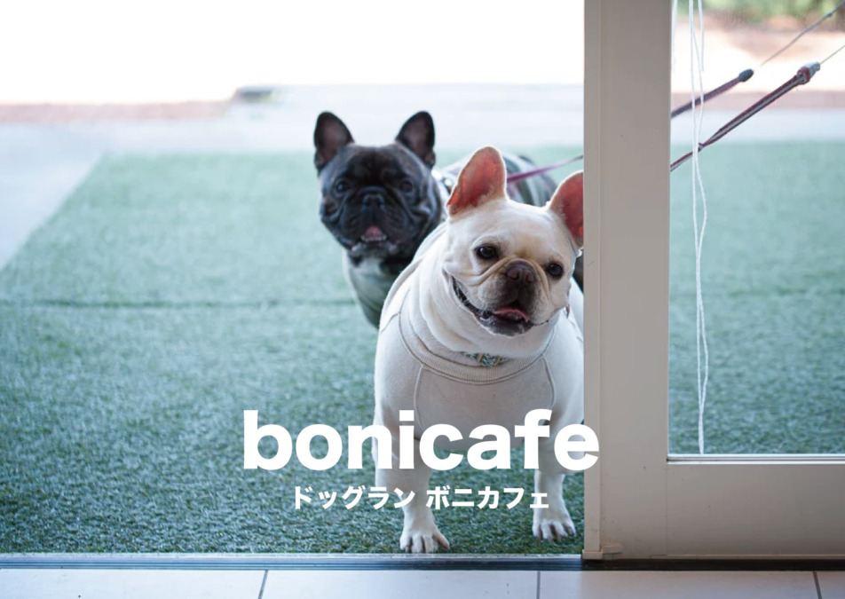 ボニカフェ 【bonicafe】久留米市内の開放感があるドッグラン
